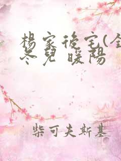 杨家后宅(全)冬儿 暖阳