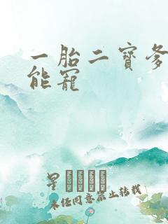 一胎二宝爹地超能宠
