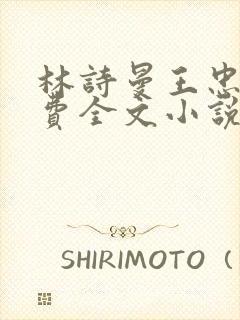 林诗曼王忠文免费全文小说的名称