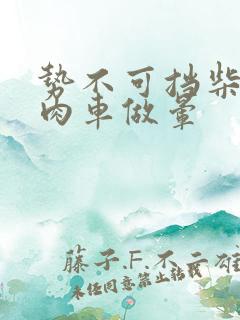 势不可挡柴鸡蛋肉车做晕