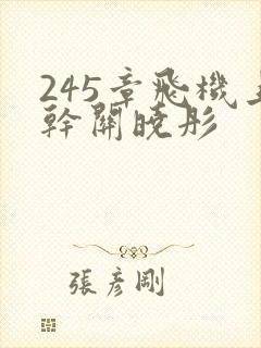 245章飞机上干关晓彤