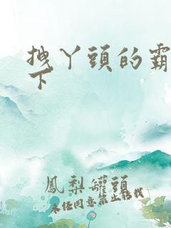 拽丫头的霸道殿下