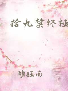 拾九禁终极直播