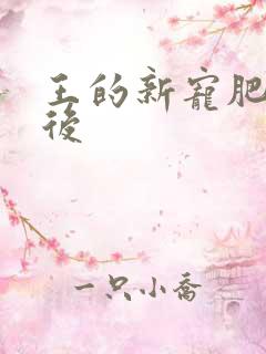 王的新宠肥婆皇后
