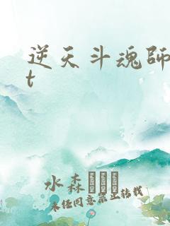 逆天斗魂师txt