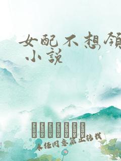 女配不想领便当 小说