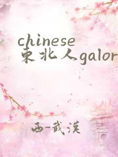 chinese东北人galore