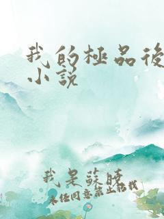 我的极品后宫 小说