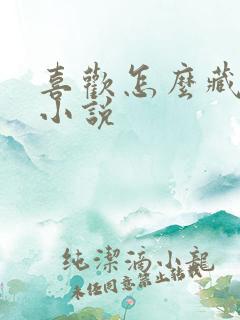 喜欢怎么藏不住小说