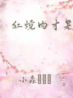 红烧肉才是真爱