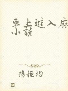 车上进入麻麻的小说