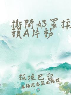 撕开奶罩揉吮奶头A片动