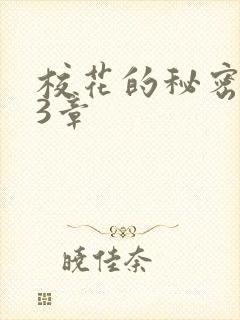 校花的秘密第23章