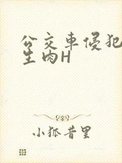 公交车侵犯小男生肉H