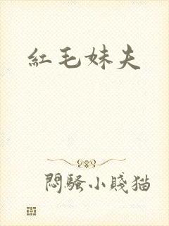 红毛妹夫