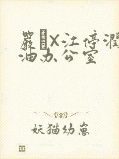 严峫X江停润滑油办公室