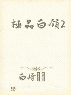 极品白领2