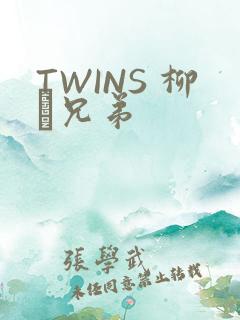 TWINS 柳澤兄弟