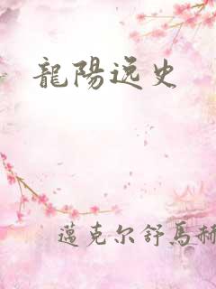 龙阳逸史