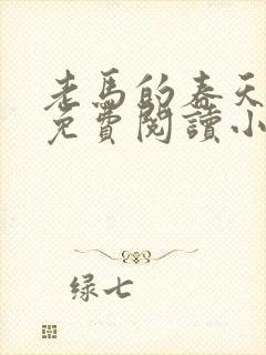 老马的春天全文免费阅读小说