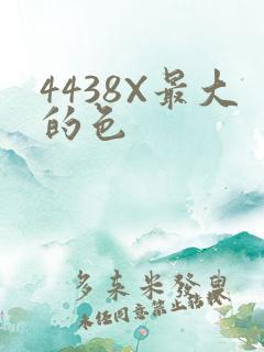 4438X最大的色