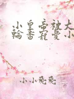 小皇帝被大臣们轮番宠爱小说