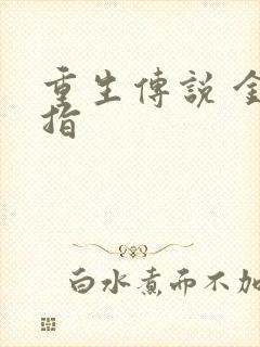 重生传说 金手指