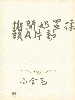 撕开奶罩揉吮奶头A片动