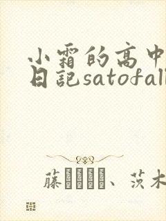 小霜的高中成长日记satofall