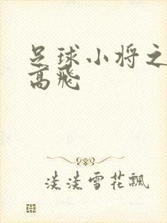 足球小将之展翅高飞