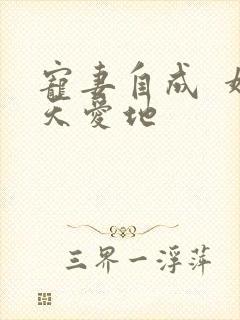 宠妻自成  婚天爱地