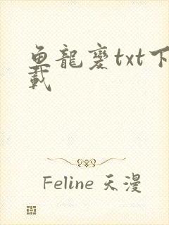 鱼龙变txt下载