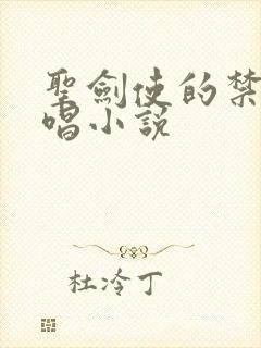 圣剑使的禁咒咏唱小说