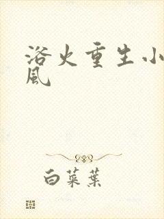 浴火重生小说陈风