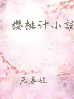 樱桃汁小说