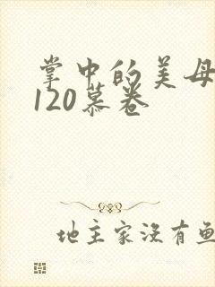 掌中的美母版主120慕卷