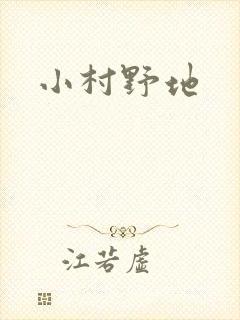 小村野地