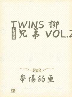 TWINS 柳澤兄弟 VOL.2