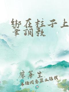 绑在柱子上用毛笔调教