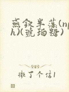 燕钗半落(nph)(琥珀糖)