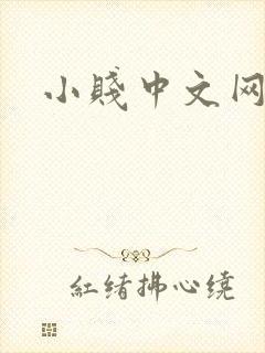 小贱中文网