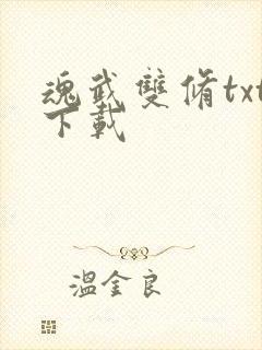 魂武双修txt下载