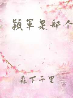 颖军是哪个军阀