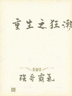 重生之狂潮
