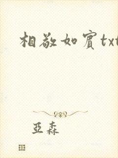 相敬如宾txt