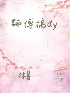 师傅搞dy
