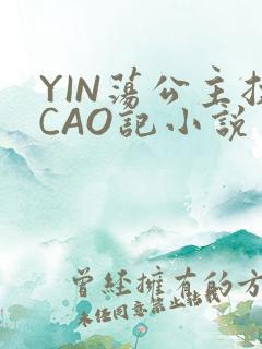 YIN荡公主挨CAO记小说