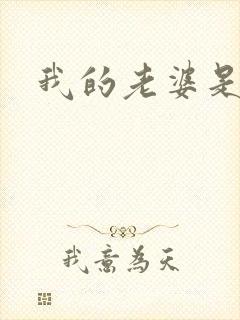 我的老婆是太妹