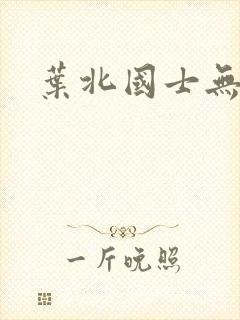 叶北国士无双