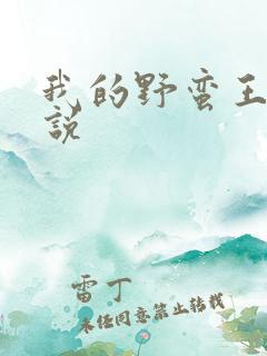 我的野蛮王妃小说